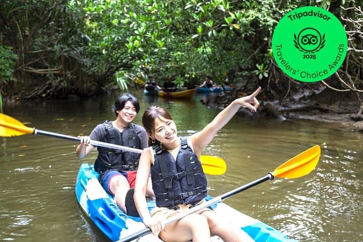 סיור SUP או קיאק במנגרובים של אוקינאווה איריומוטה