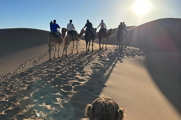 Overnight Escape: Foum Zguid to Sands of Erg Chigaga