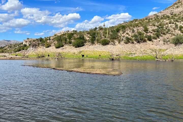 Boat Tour in Lake Pleasant, Arizona