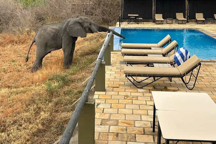 5-Day Private Luxury Safari from Zanzibar to Northern Tanzania