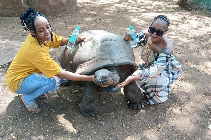 full-Day Malindi Tour