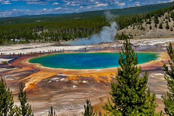 Yellowstone Hot Spots Lower Loop Tour From Cody Wy!