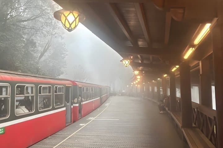 Alishan Join-in Day Tour from Chiayi (Incl. Park Entrance)