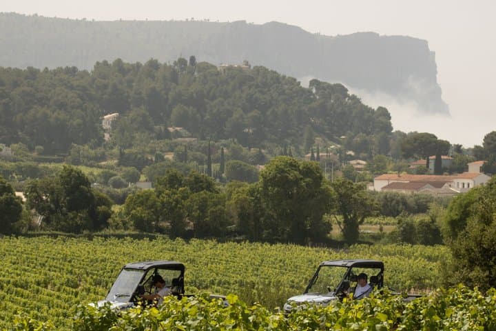 Cassis Domaine forest des janots and route des ridges en Buggy