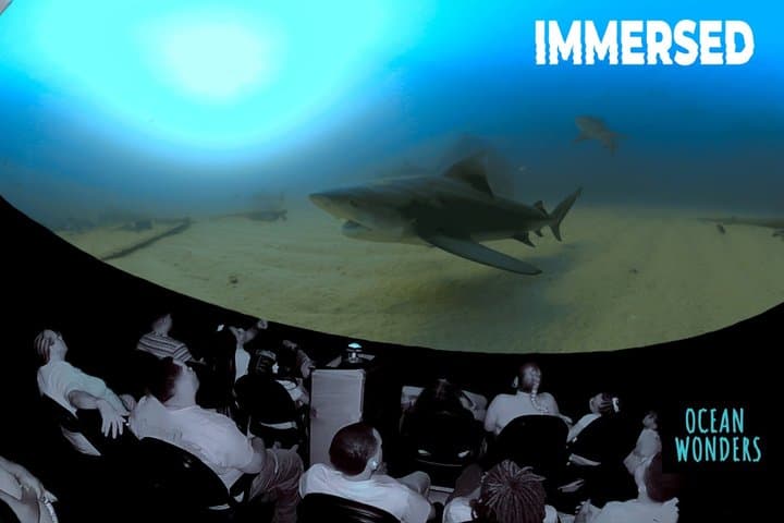 Ocean Wonders: Catalina Island's Immersive Movie Experience