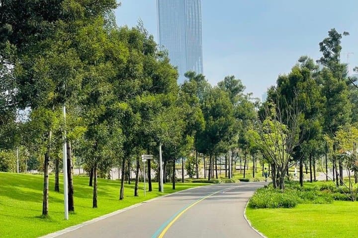 שיהוי באדיס אבבה