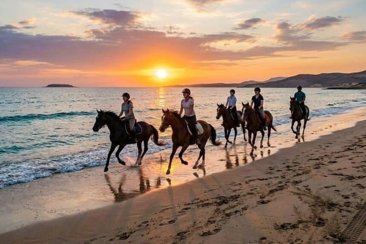 Horse Riding: Beach, Desert, Swim, Sunrise & Sunset - Hurghada