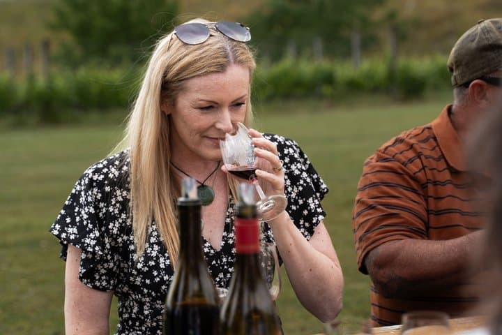 Marlborough Full-Day Wine & Vineyard Experience 6 hour