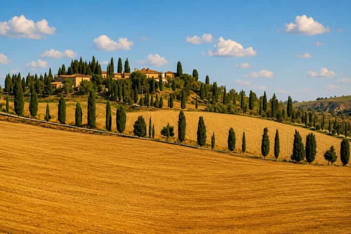 Castles & Chianti Wine Experience– Small Group from San Gimignano